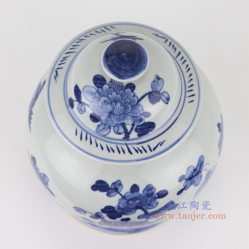 RZSI48-M青花花鸟将军罐俯视图