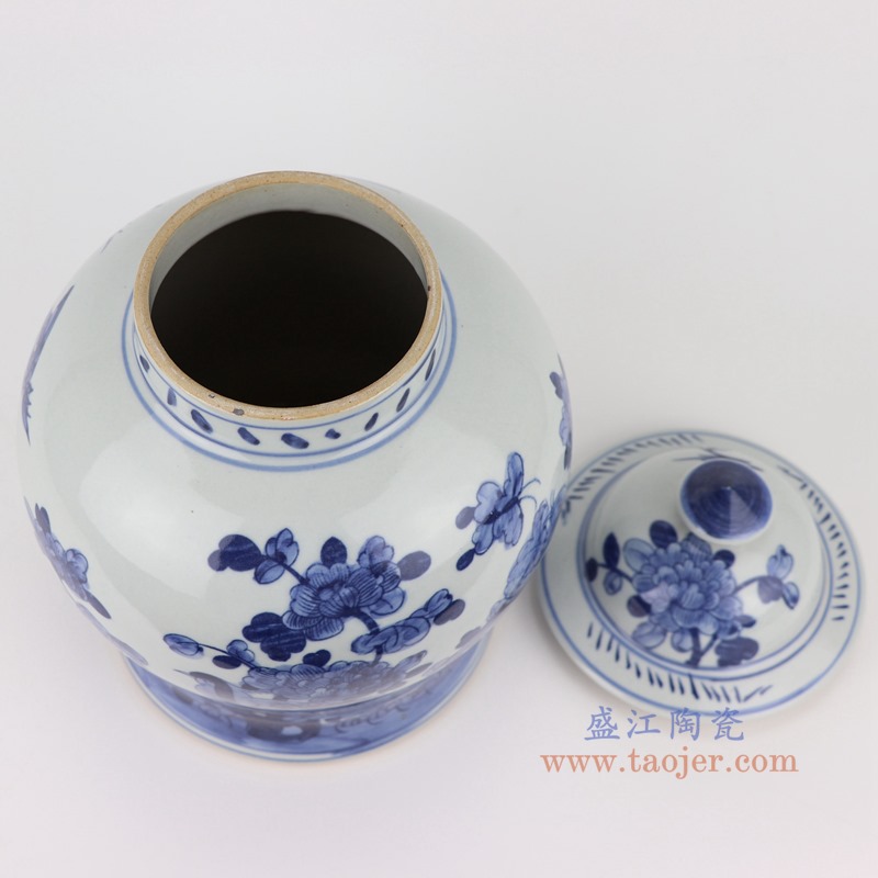 RZSI48-M青花花鸟将军罐顶部图