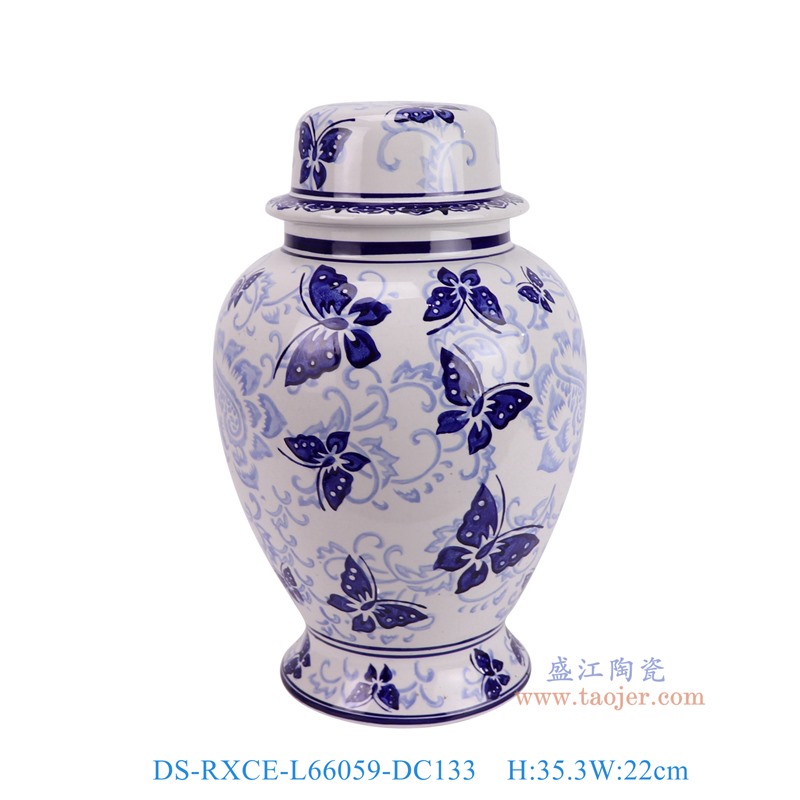 DS-RXCE-L66059-DC133青花蝴蝶纹将军罐灯具正面图