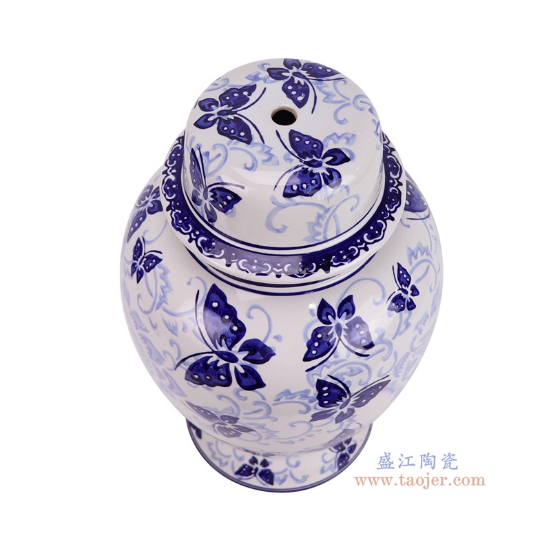 DS-RXCE-L66059-DC133青花蝴蝶纹将军罐灯具俯视图
