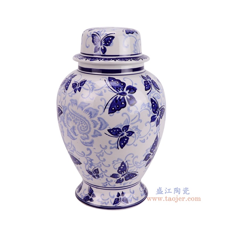 DS-RXCE-L66059-DC133青花蝴蝶纹将军罐灯具侧面图