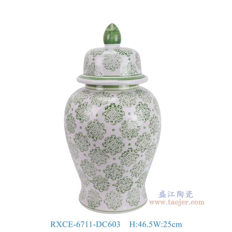 RXCE-6711-DC603绿色圆形花卉纹将军罐正面图