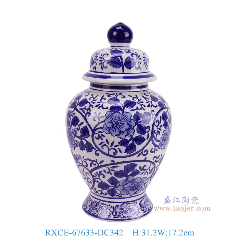 RXCE-67633-DC342青花花叶纹将军罐正面图
