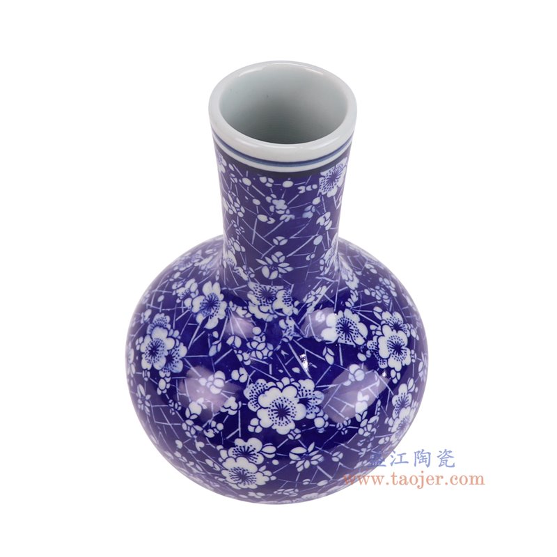RZNV41-B青花冰梅天球瓶俯视图