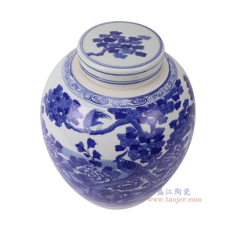 RXCS07-A青花花鸟眀罐平顶罐俯视图