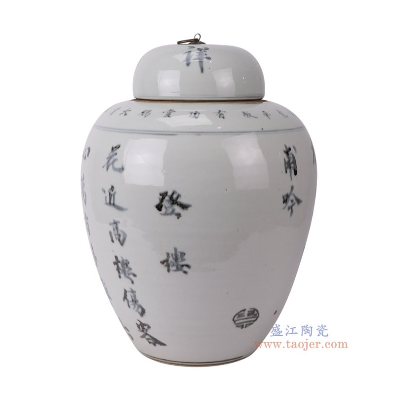 RZPI27-C青花文字冬瓜罐侧面图