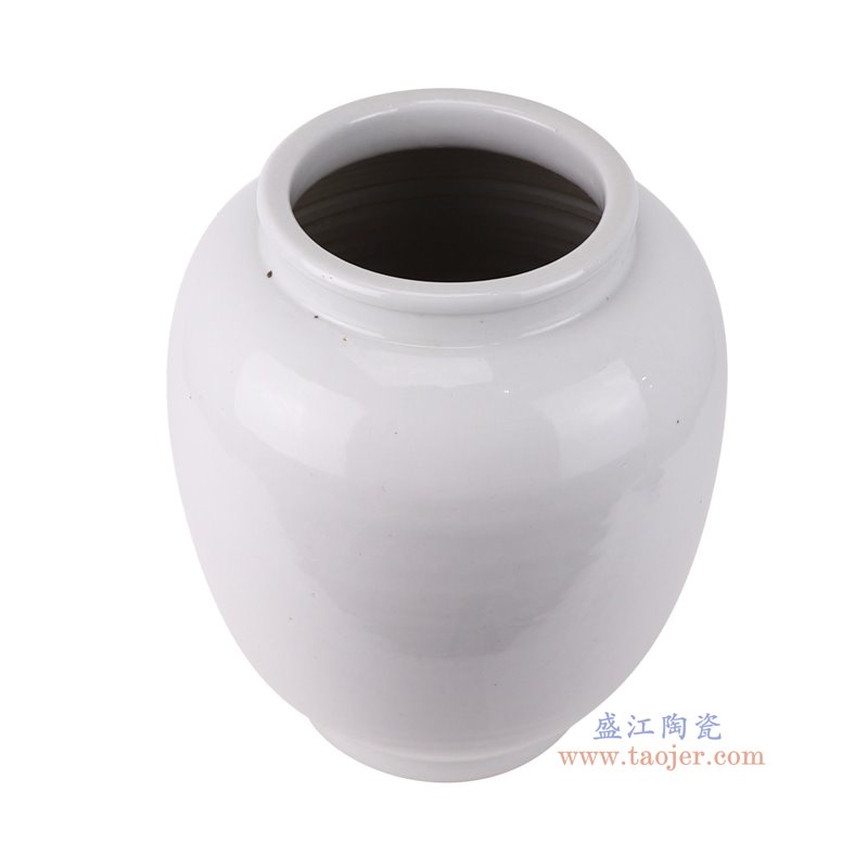 RZPI61-C-L白色冬瓜罐大号俯视图