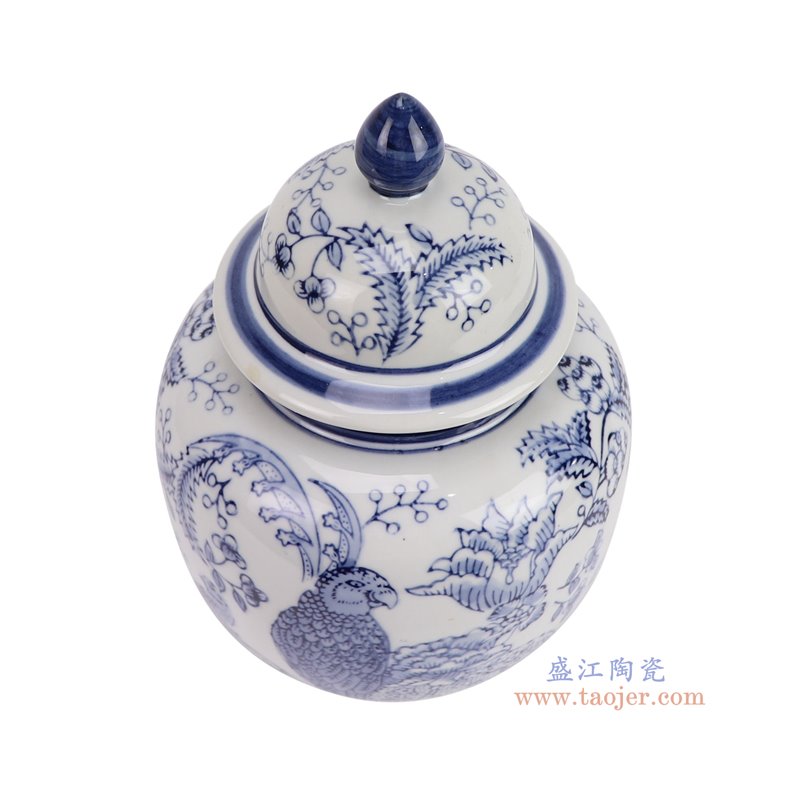 RXCF-LH210青花鹦鹉花鸟纹将军罐俯视图