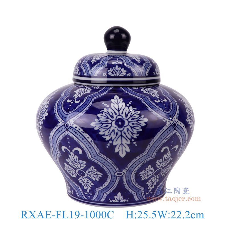 RXAE-FL19-1000C青花蓝底白花叶纹将军罐正面图
