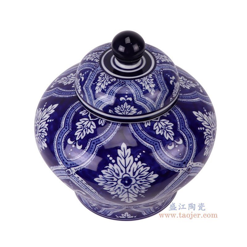 RXAE-FL19-1000C青花蓝底白花叶纹将军罐俯视图