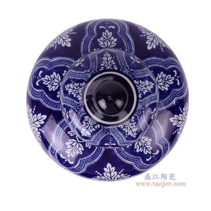 RXAE-FL19-1000C青花蓝底白花叶纹将军罐顶部图