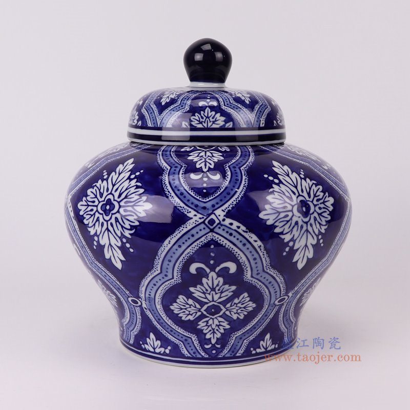 RXAE-FL19-1000C青花蓝底白花叶纹将军罐侧面图