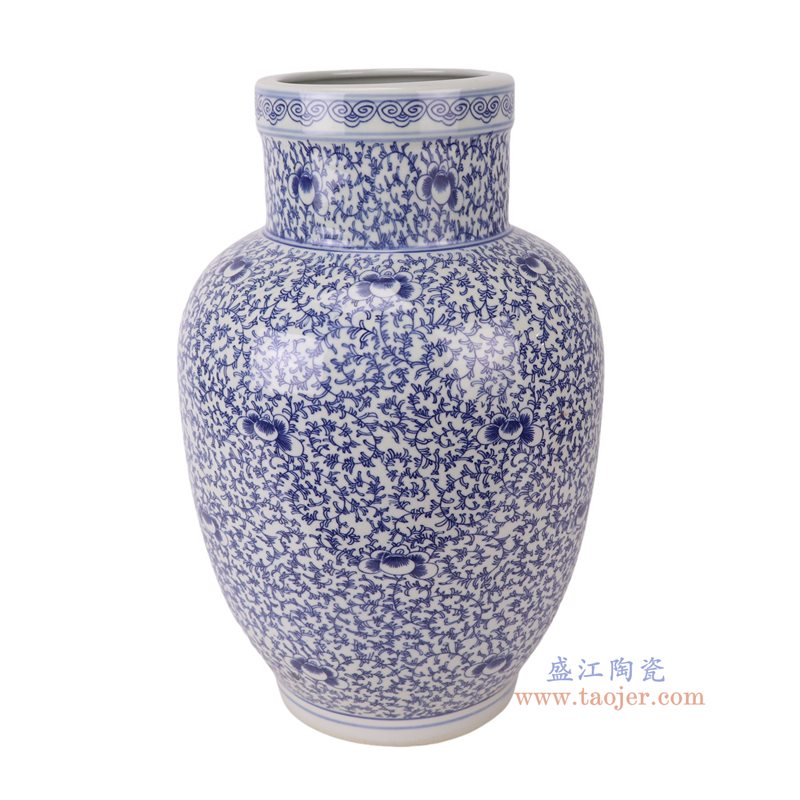 RZSI52-C青花缠枝串花纹冬瓜罐侧面图