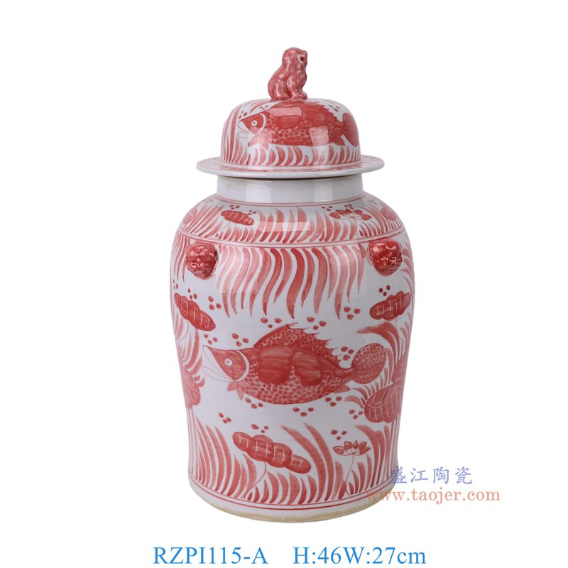RZPI115-A 釉里红鱼藻纹狮子头将军罐   