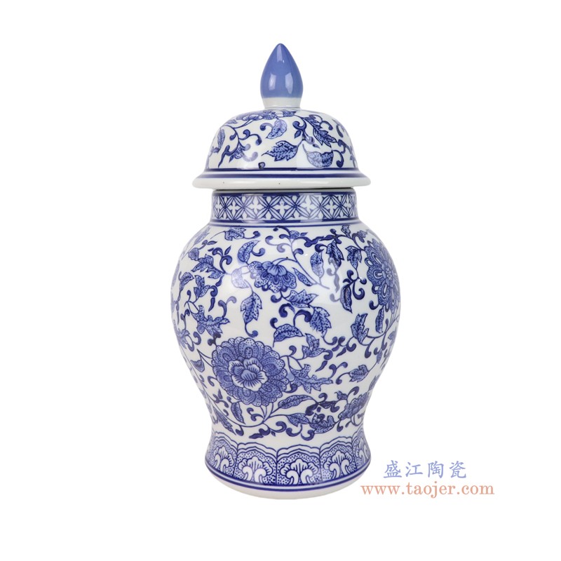 RXCD48-A 青花花叶纹将军罐