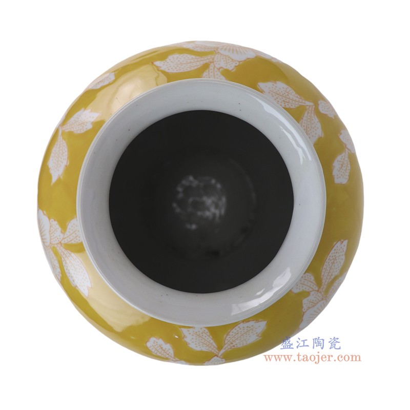 RXCD42-A黄底白花叶纹冬瓜瓶