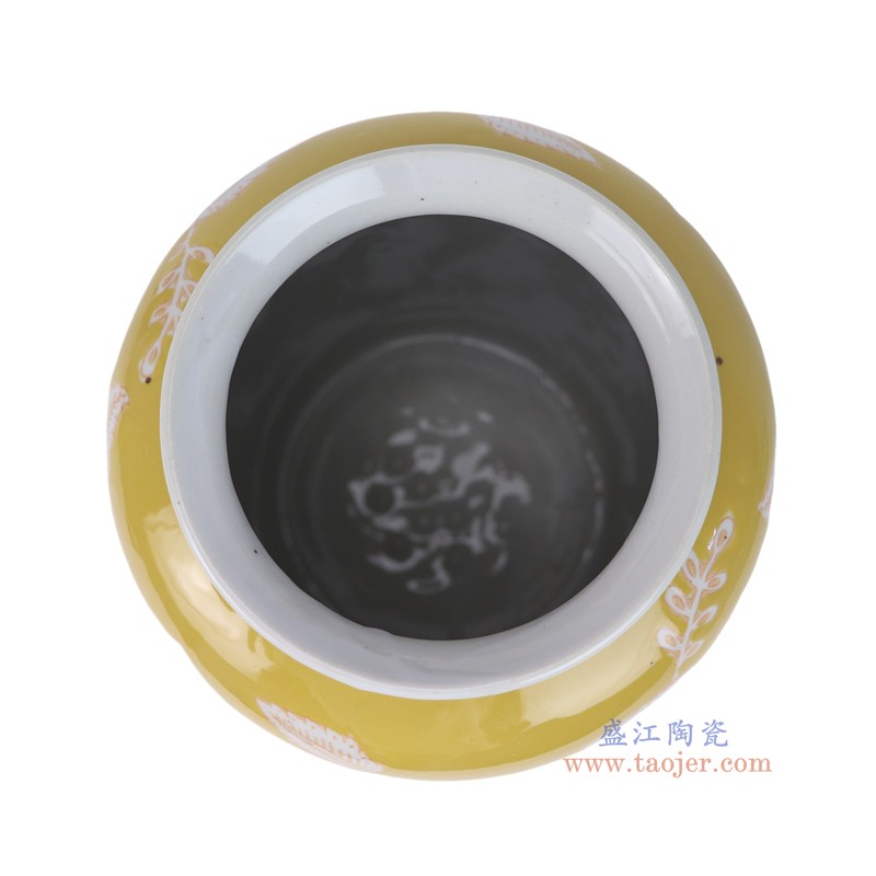 RXCD20-A黄底白花叶纹冬瓜瓶