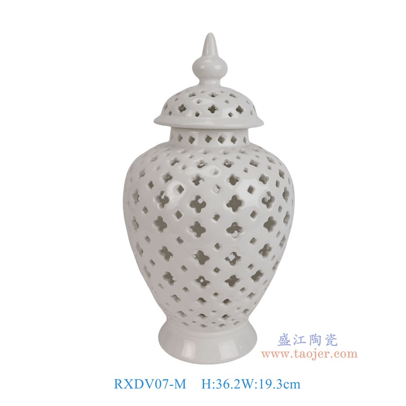 RXDV07白色镂空将军罐