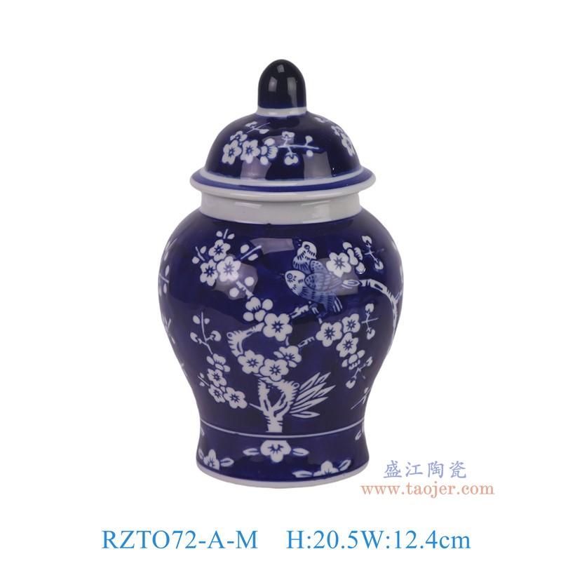 RZTO72-A-M青花蓝底喜上眉梢将军罐中号