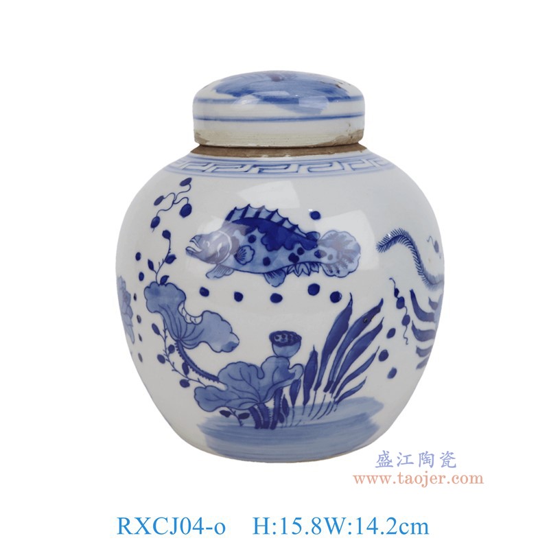 RXCJ04-o青花鱼藻纹小眀罐