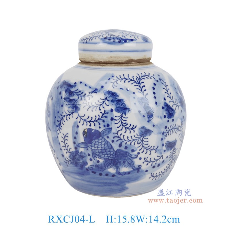 RXCJ04-L青花鱼藻纹小眀罐
