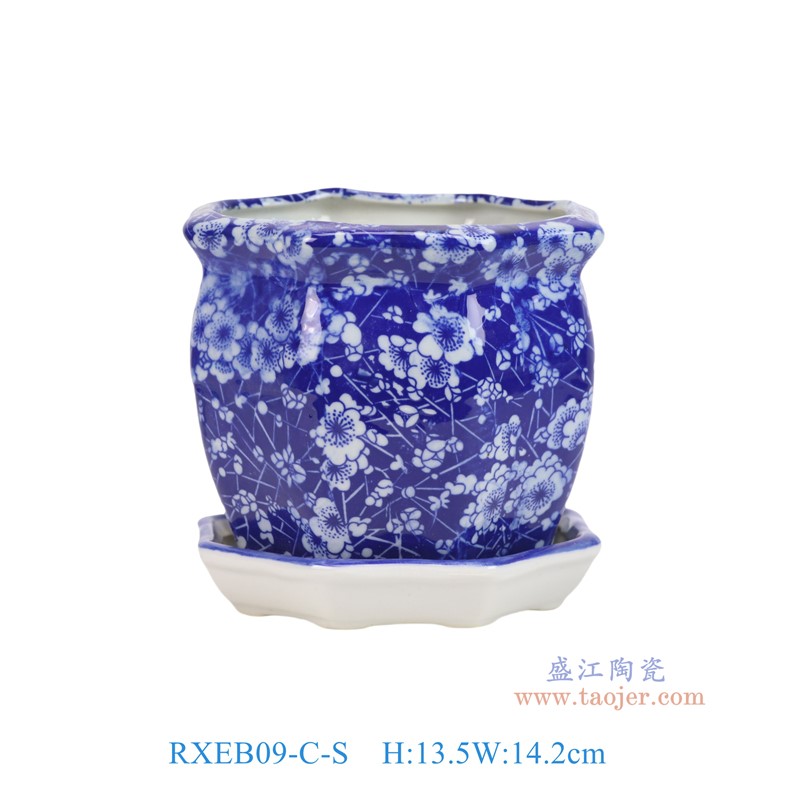 RXEB09-C-S青花冰梅八角花盆带托盘小号
