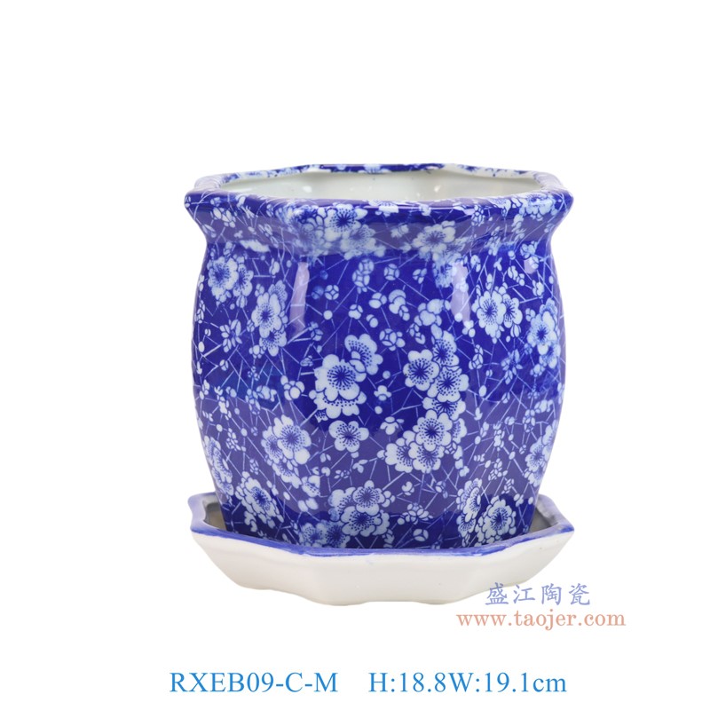 RXEB09-C-M青花冰梅八角花盆带托盘中号
