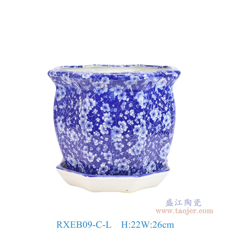 RXEB09-C-L青花冰梅八角花盆带托盘大号