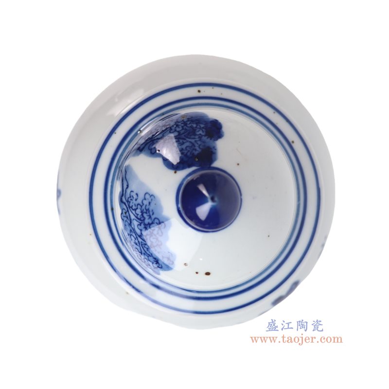 RZGC19-M   青花花鸟将军罐
