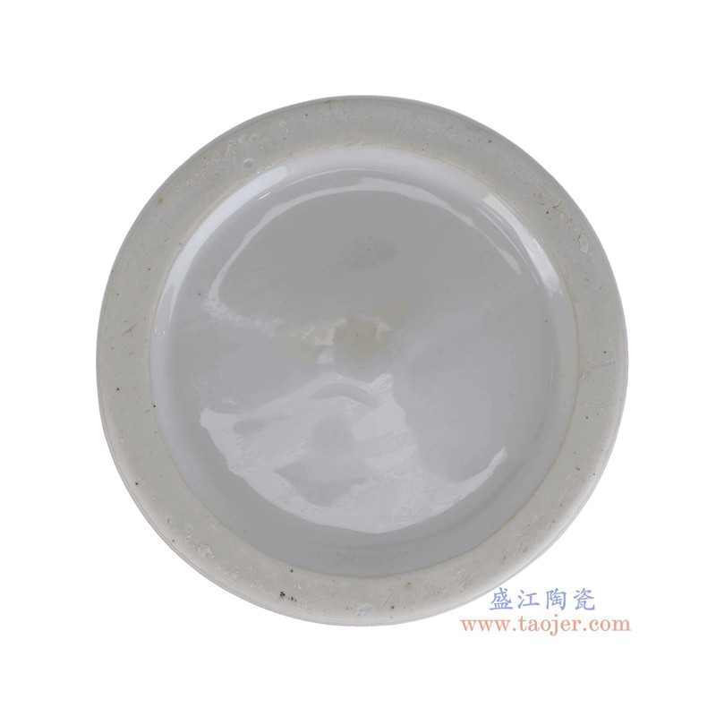 RXEM05-D  青花蓝底白玉兰花纹将军罐