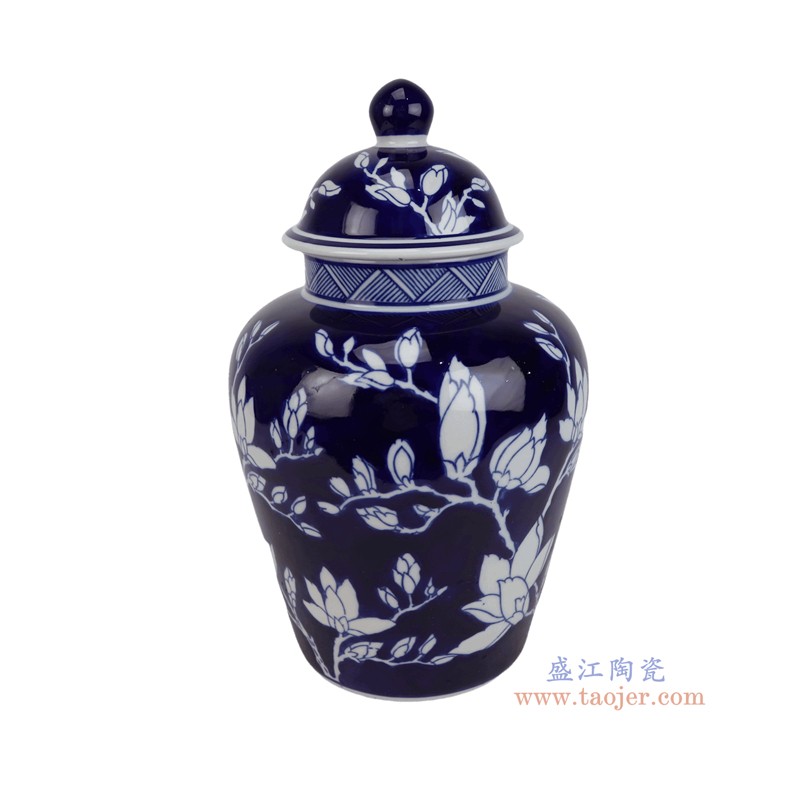 RXEM05-D  青花蓝底白玉兰花纹将军罐