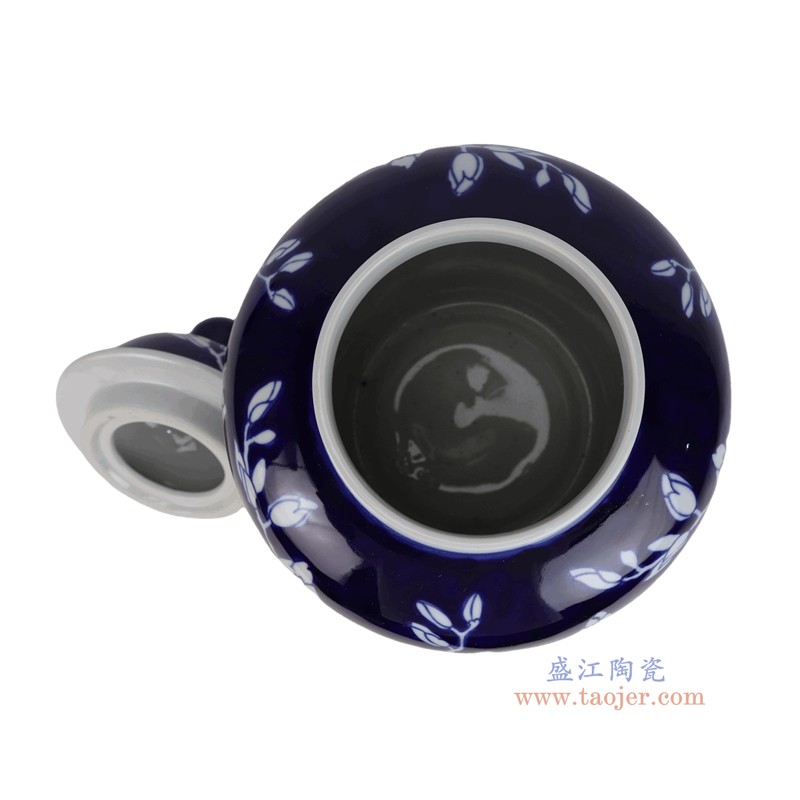 RXEM05-D  青花蓝底白玉兰花纹将军罐