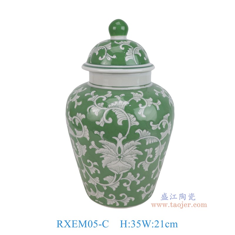 RXEM05-C  绿底白花叶纹将军罐