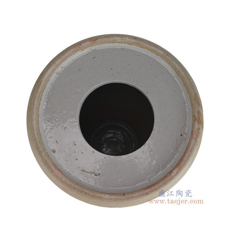 DS-RZPJ24-A   白色狮耳将军罐灯具