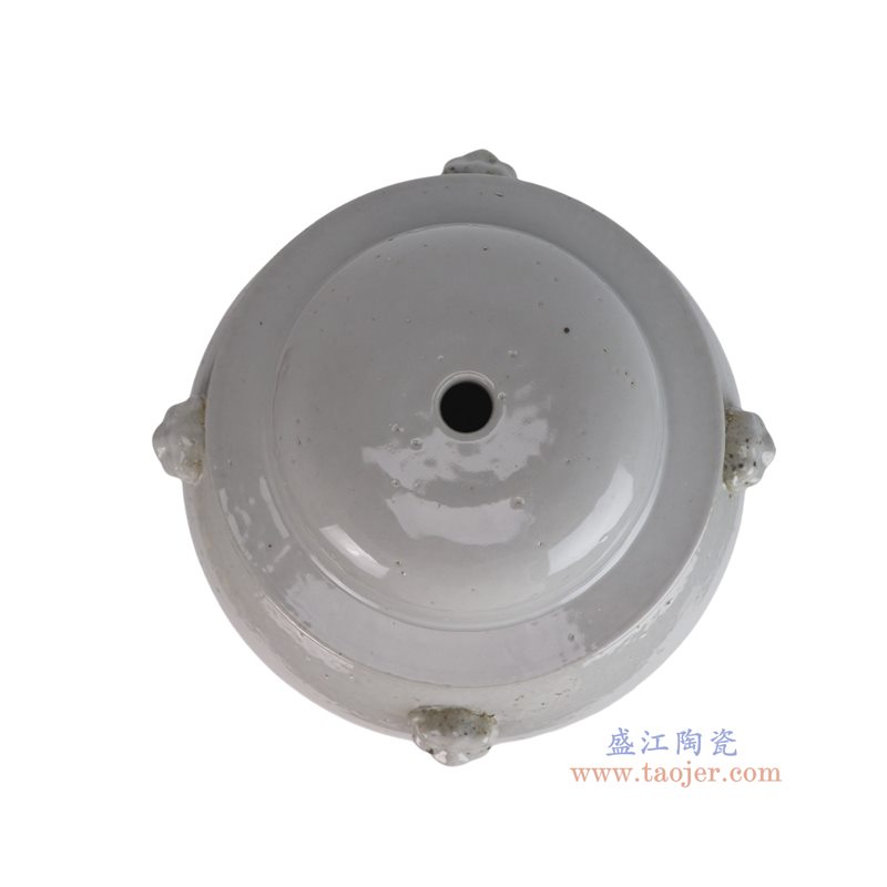 DS-RZPJ24-A   白色狮耳将军罐灯具