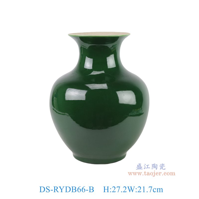 DS-RYDB66-A_DS-RYDB66-B红色绿色赏瓶灯具
