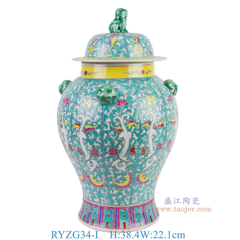 RYZG34-I   粉彩绿底白龙狮头将军罐
