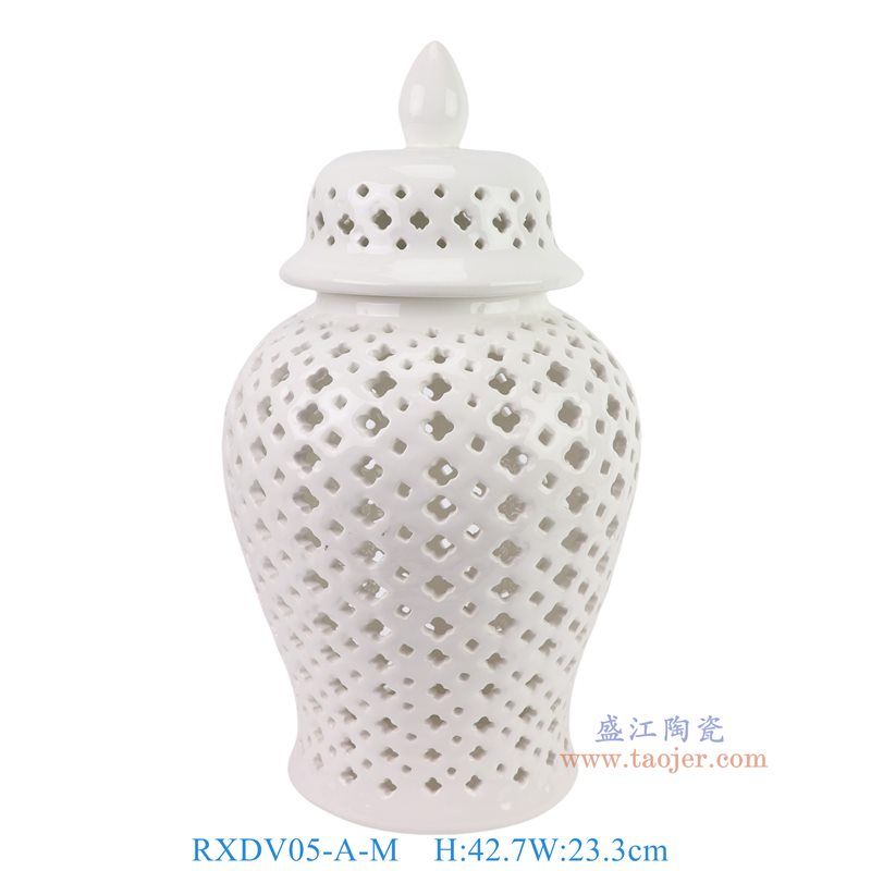 RXDV05-A-M白色镂空17寸梅花将军罐中号