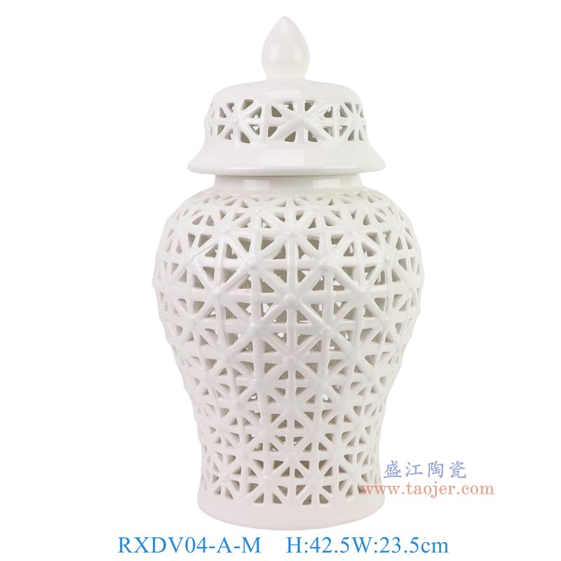 RXDV04-A-M白色镂空17寸网格将军罐中号