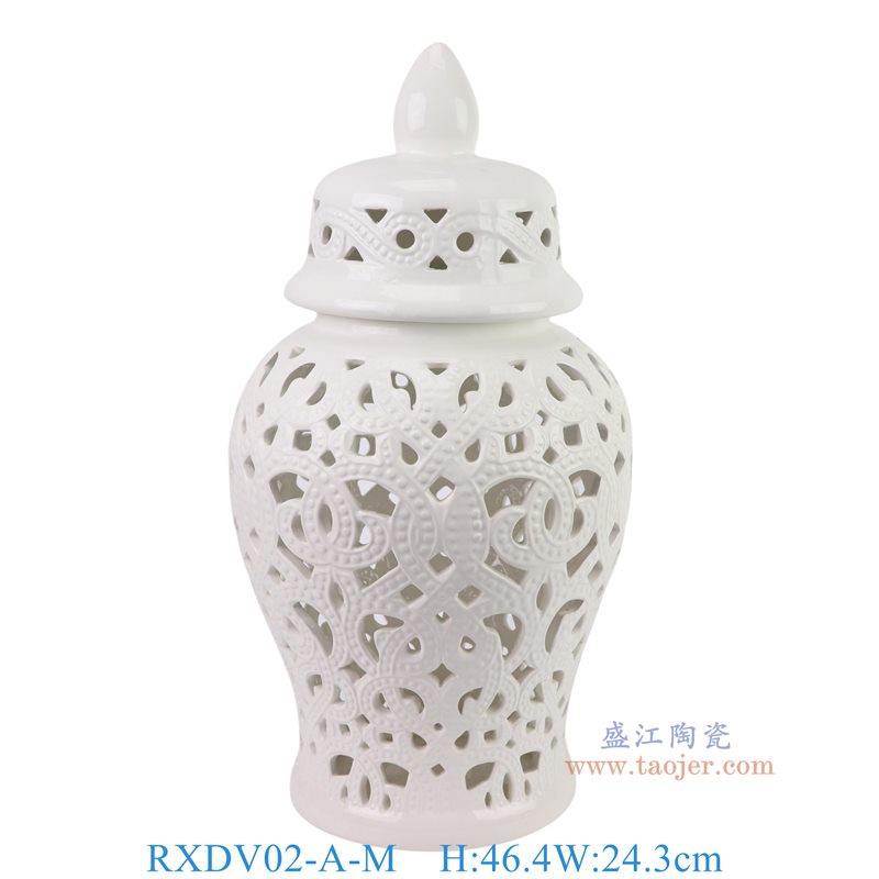RXDV02-A-M白色镂空18寸钩藤将军罐中号