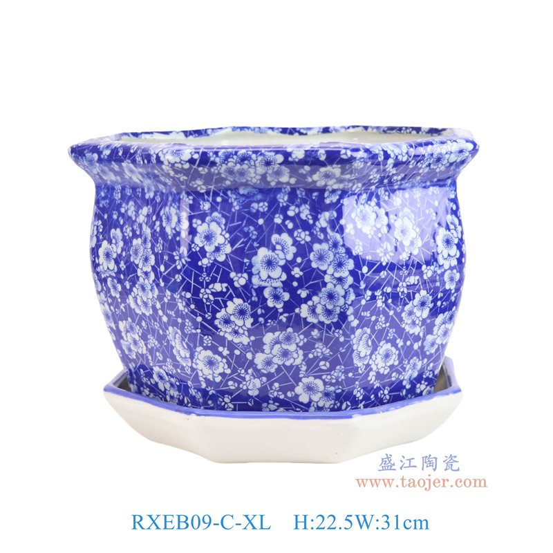RXEB09-C-XL青花冰梅八角花盆带托盘加大号