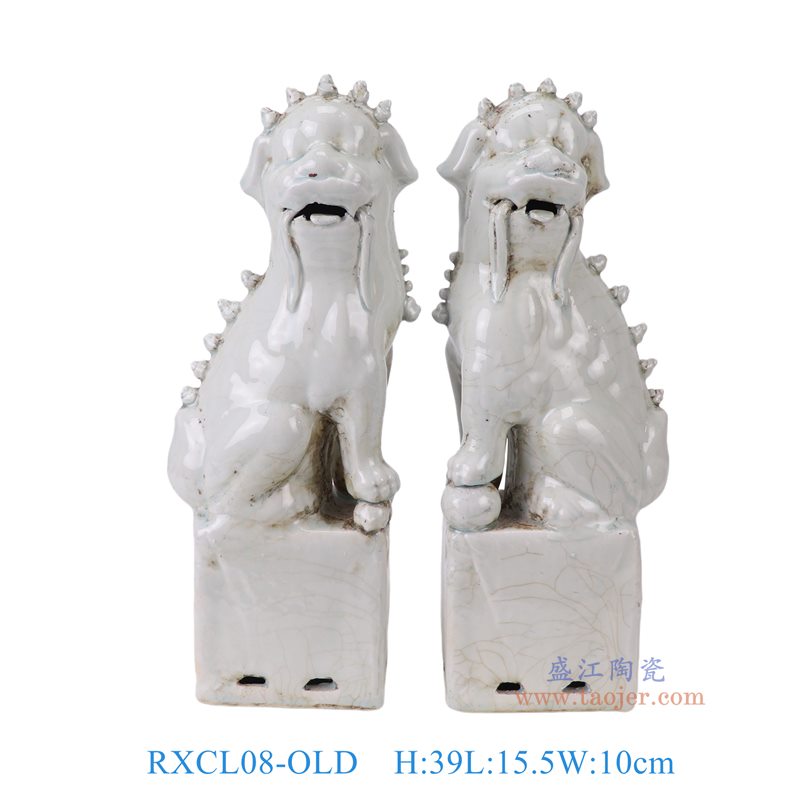 RXCL08-OLD白色狮子狗一对