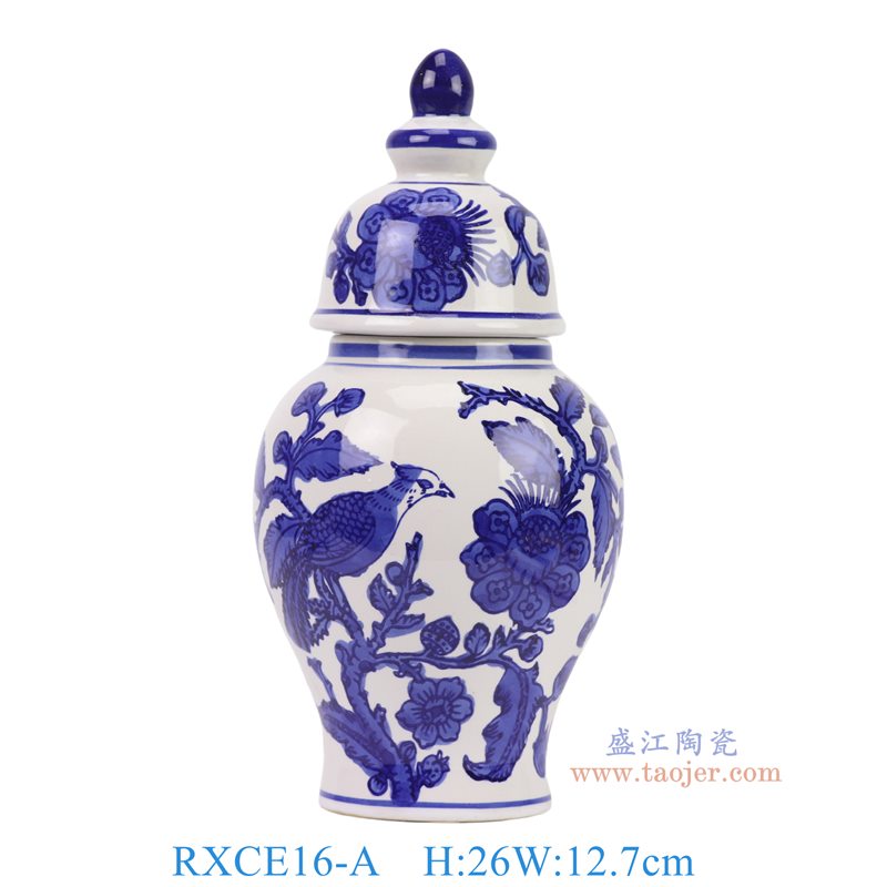RXCE16-A青花花鸟将军罐