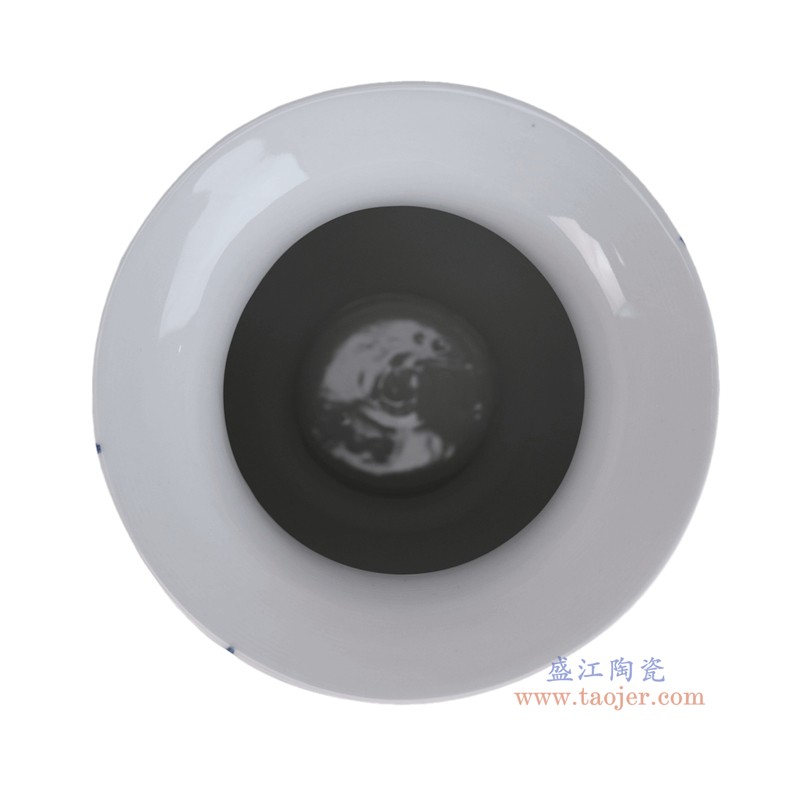 RZUF101-E   青花花叶纹花瓶