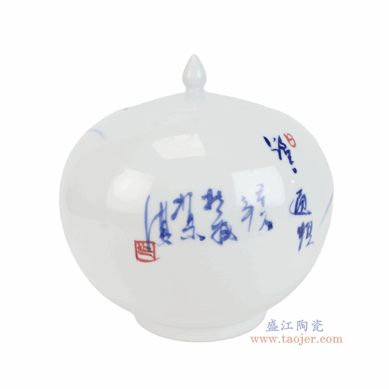 RZTE08-E 青花斗彩仙鹤纹西瓜罐 