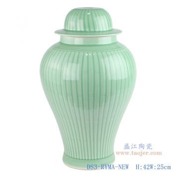 DS3-RYMA-NEW-影青雕刻条纹陶瓷将军罐灯具