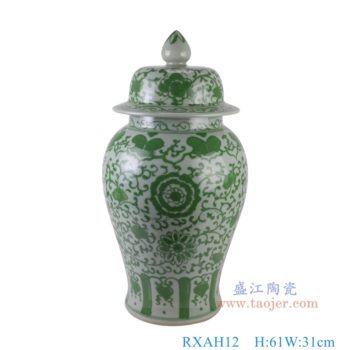 RXAH12   绿色缠枝莲将军罐，    高61直径31口径底径22.3重量13.8KG