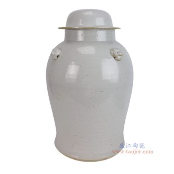 DS-RZPJ24-A   白色狮耳将军罐灯具